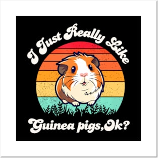 I Just Like Guinea pigs Ok Posters and Art